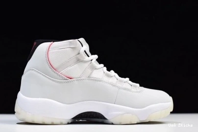 Tint UrbanStyle 8486 378037- Platinum 717 Air Jordan 11 1104